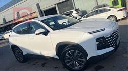 جیتۆر داشينگ